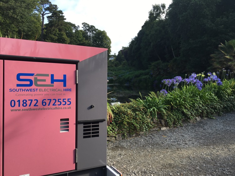 Generator near some flowers